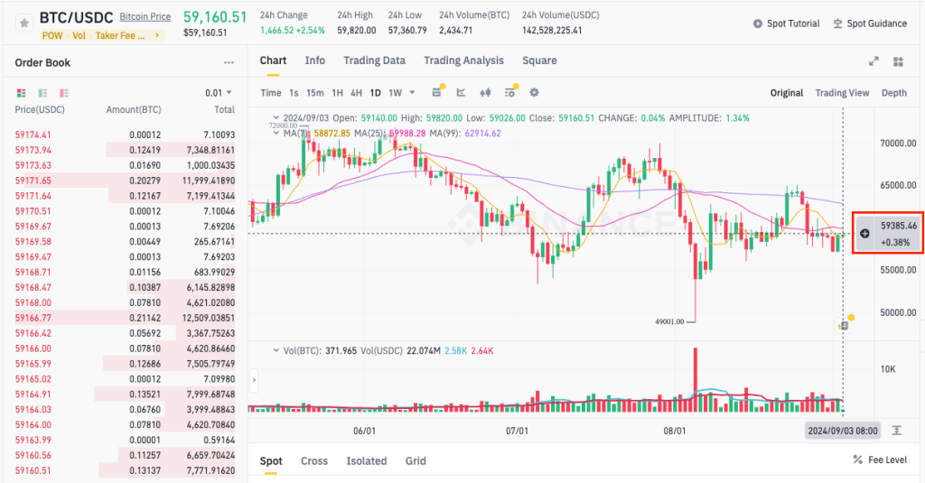 Examining a price chart on the Binance mobile application.