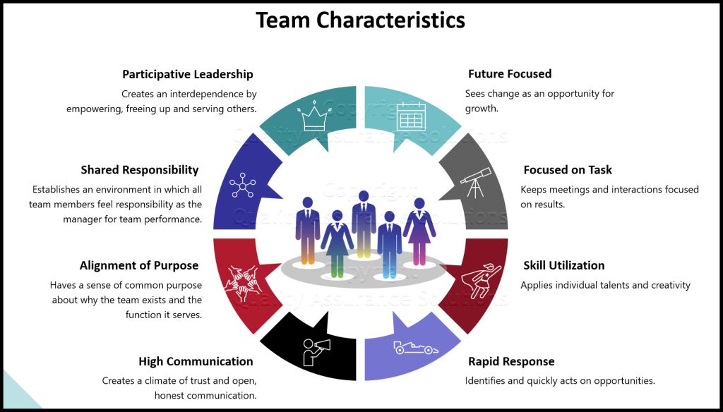 Characteristics of Effective Teams in the Workplace