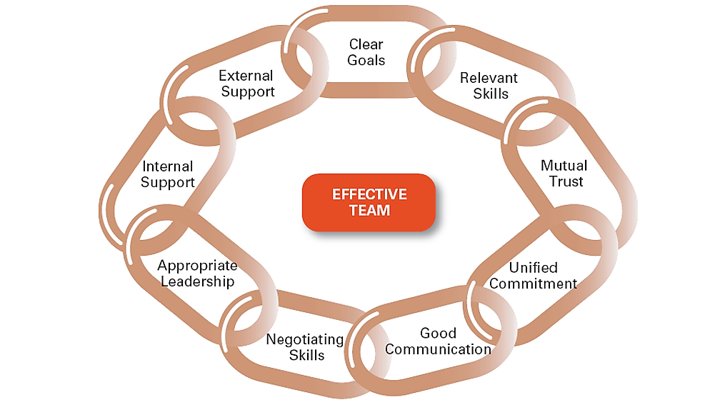 Characteristics of Effective Teams in the Workplace